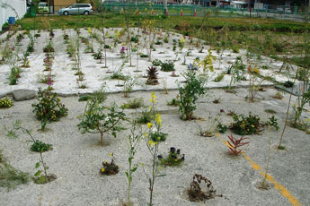 北川貴好 吉島庭園プロジェクト 2007年