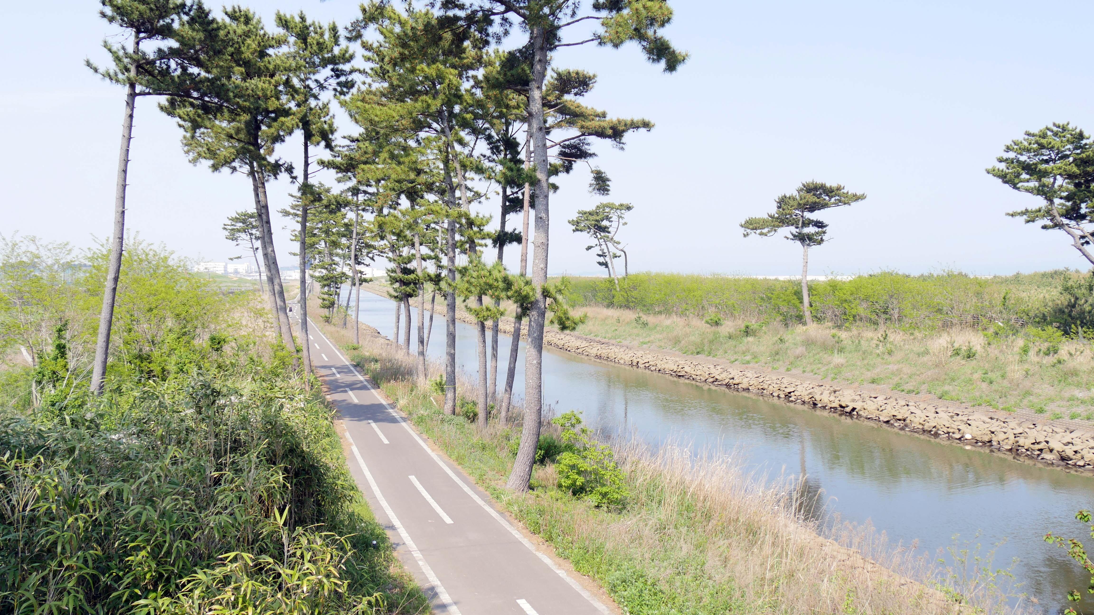 5.穏やかな新浜の運河風景.jpg
