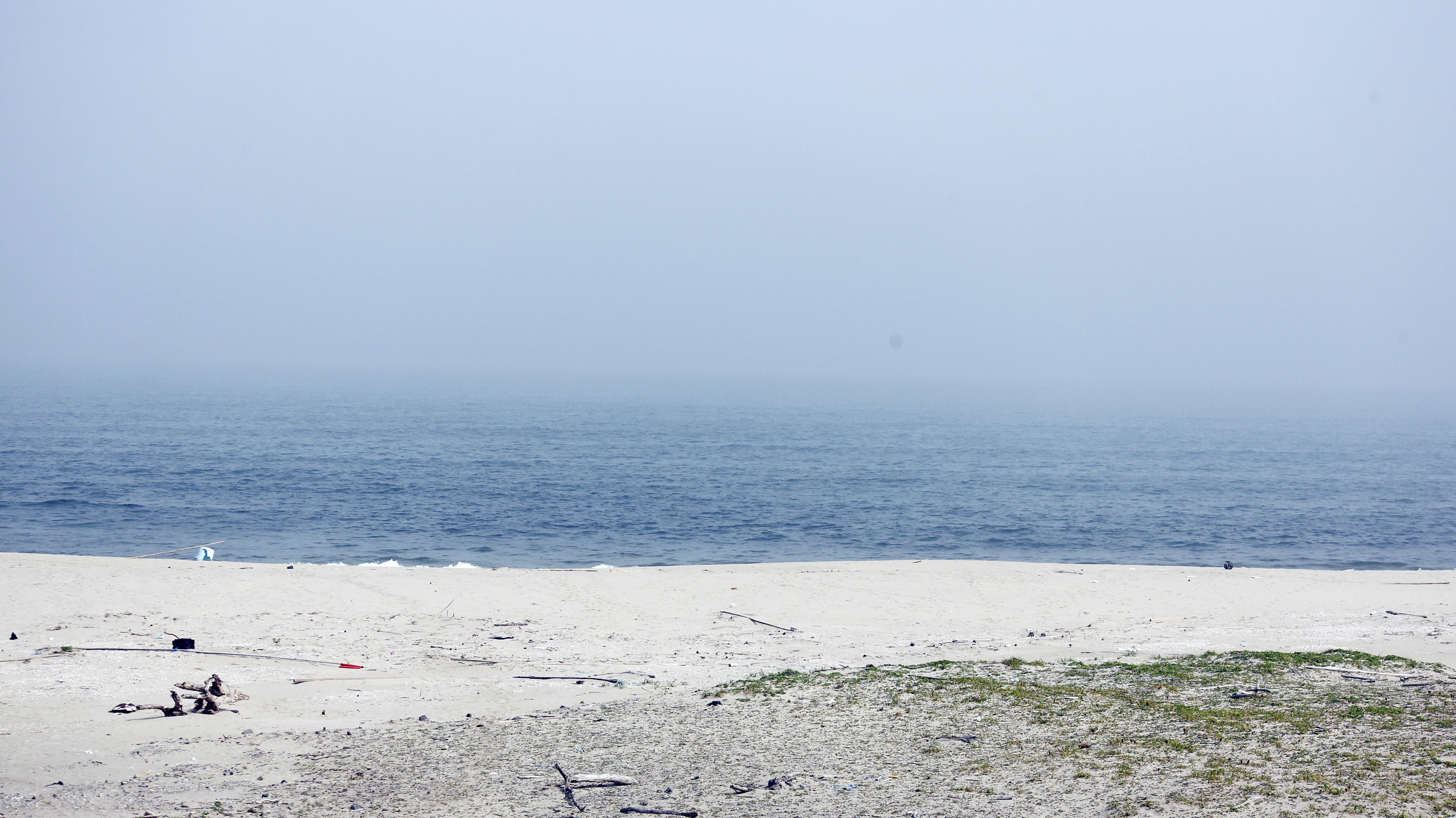 新浜1.jpg