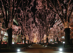 せんだいメディアテーク