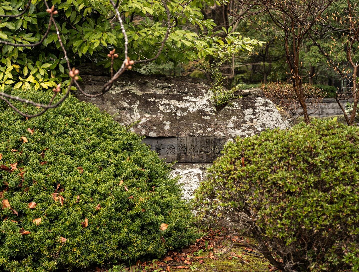 tatemono-20250413_img10.jpg