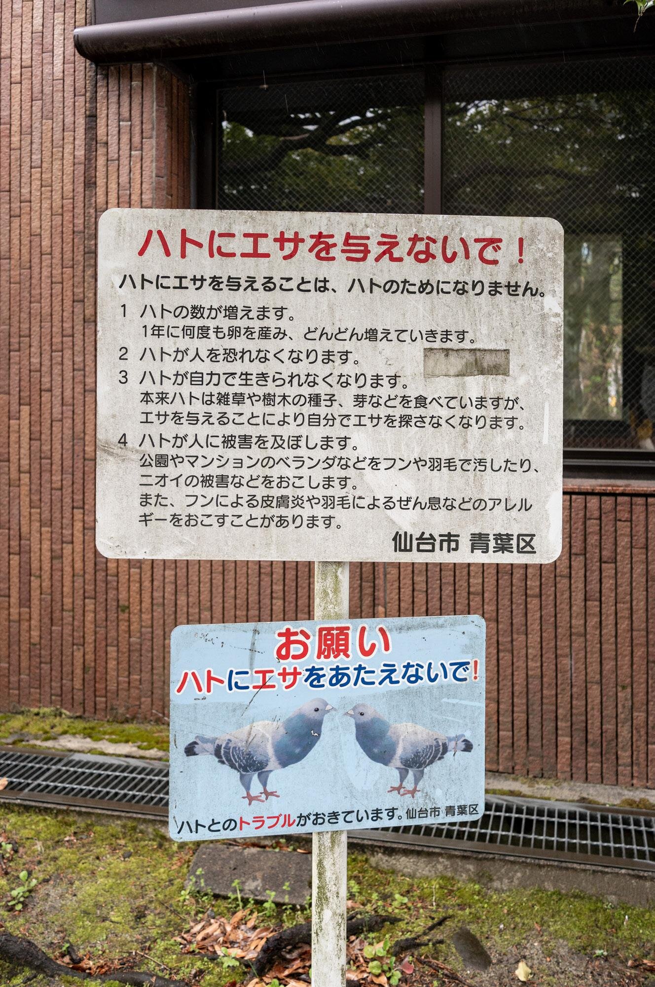 tatemono-20250413_img16.jpg