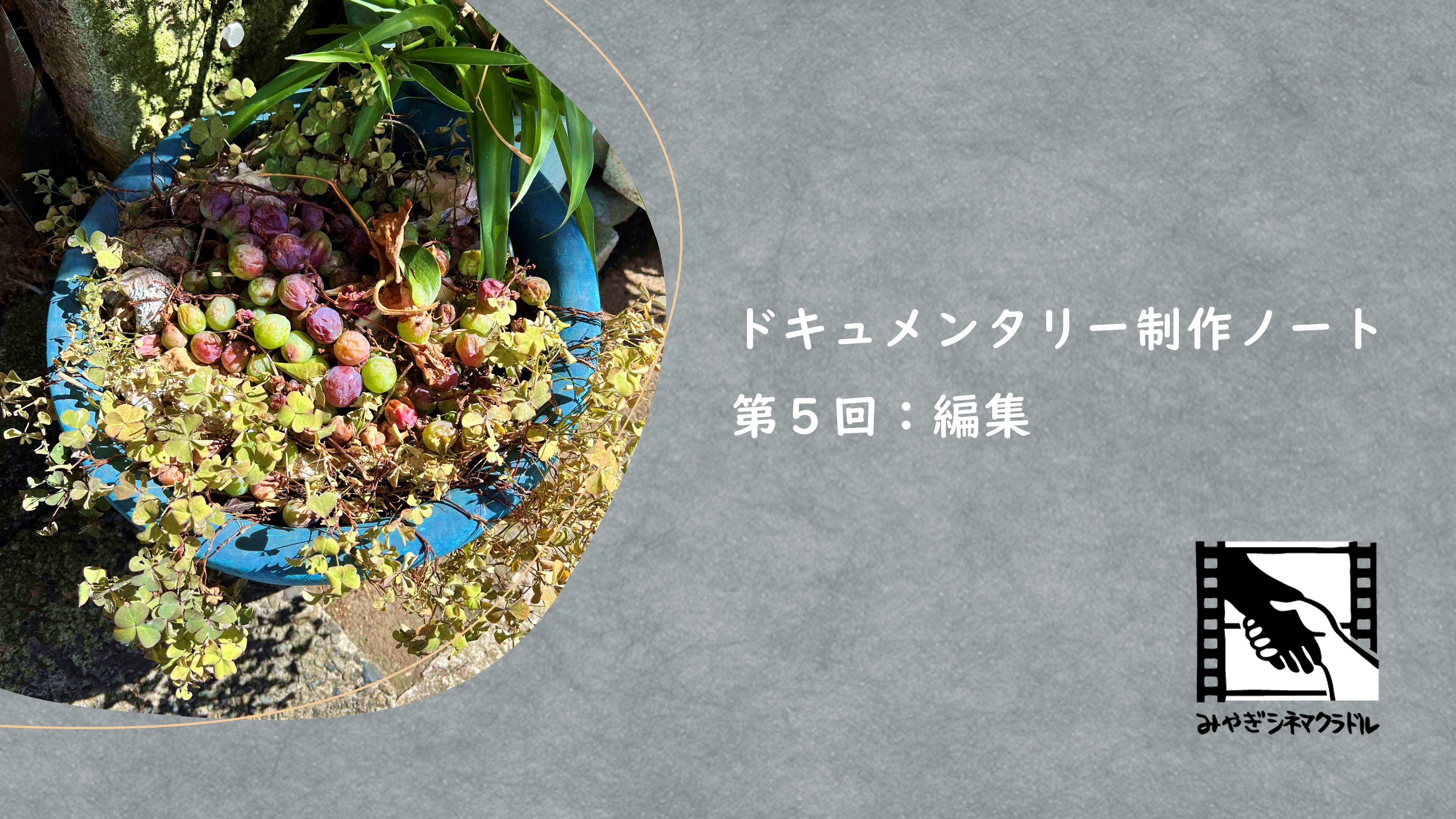 「編集」サムネイルA.jpg