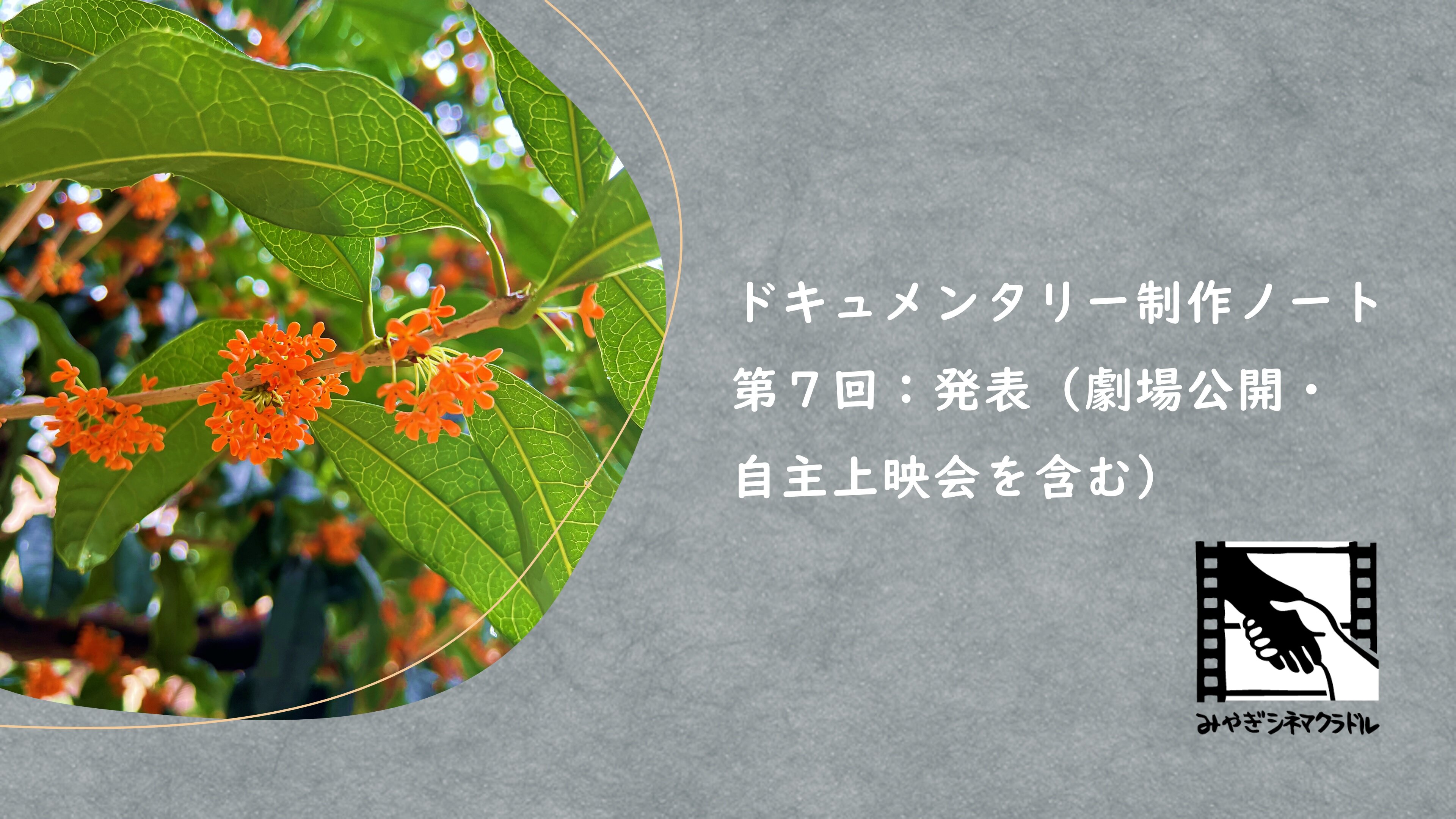 第7回サムネイル.jpg