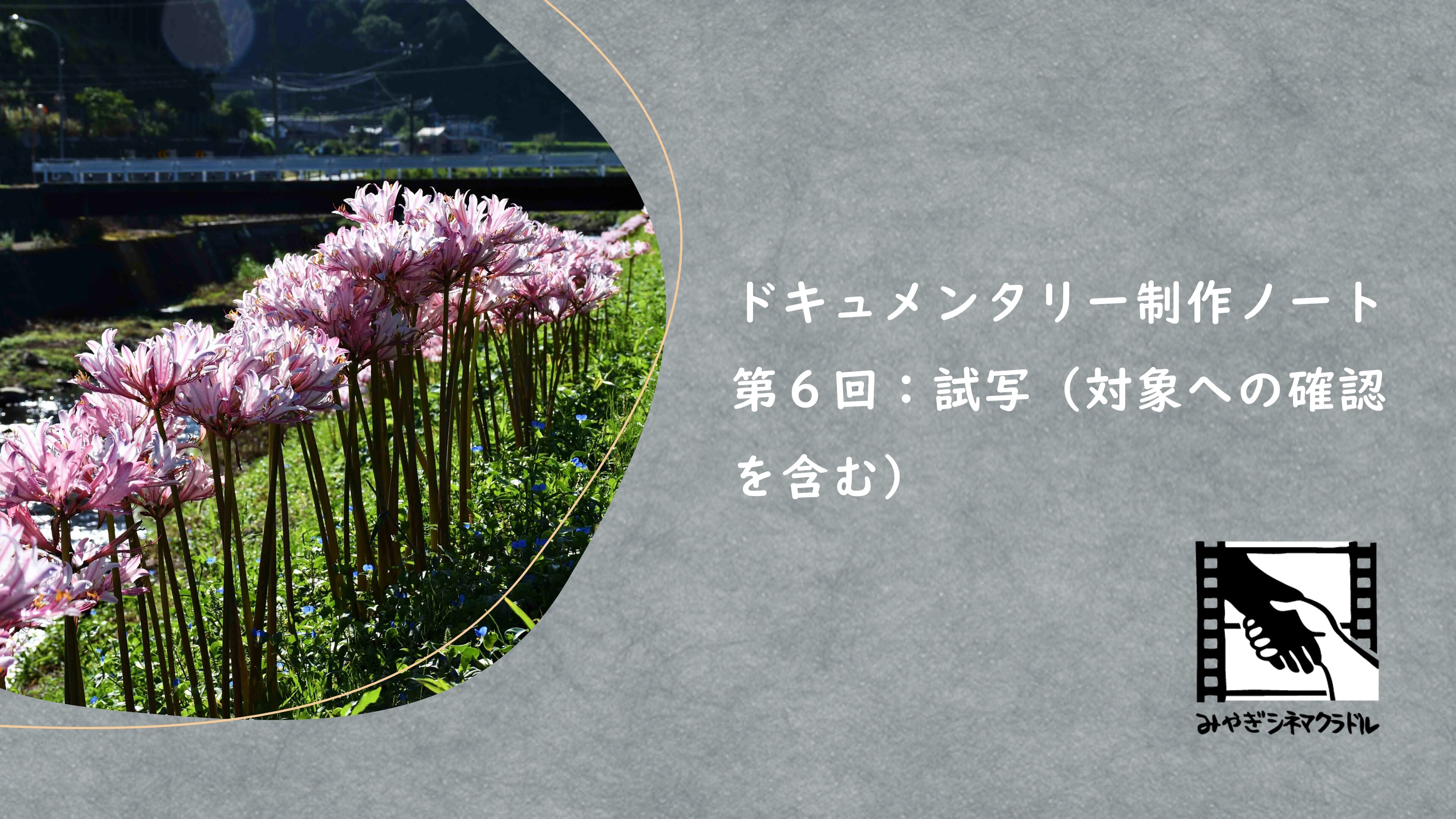 ⑥「試写（対象への確認を含む）.jpg