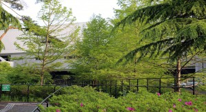 仙台文学館の外景　美しい初夏の緑。自然の中の文学館。