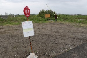 かつては家々が立ち並んでいた荒浜地区。奥に見えるのは震災後、現地再建への願いをこめ、住民の手で立てられた意見看板。手前は今は走らないバスの停留所を模し、東京の美大生が作った作品。